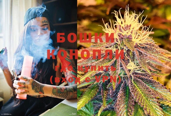 PSILOCYBIN Каменск-Шахтинский
