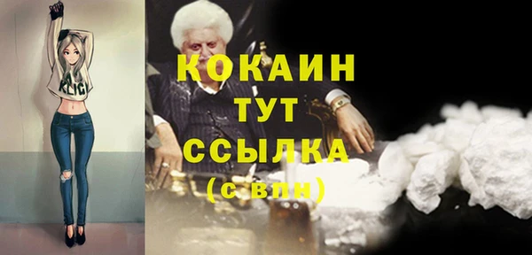 spice Каменка