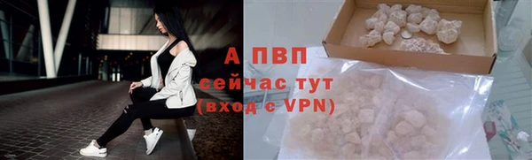 круглые Иннополис