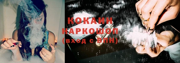 PSILOCYBIN Каменск-Шахтинский
