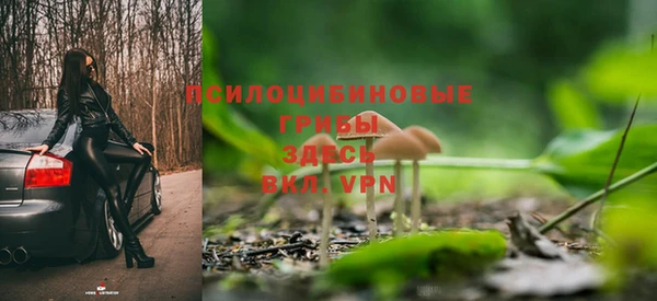 spice Каменка