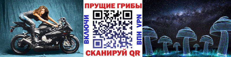 Купить  Ивангород  Псилоцибиновые грибы MAGIC MUSHROOMS 